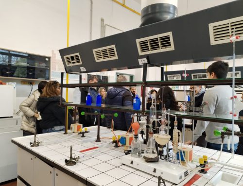 Tutored Tours of Florence’s Best VET Schools